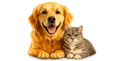 Happy pet customer